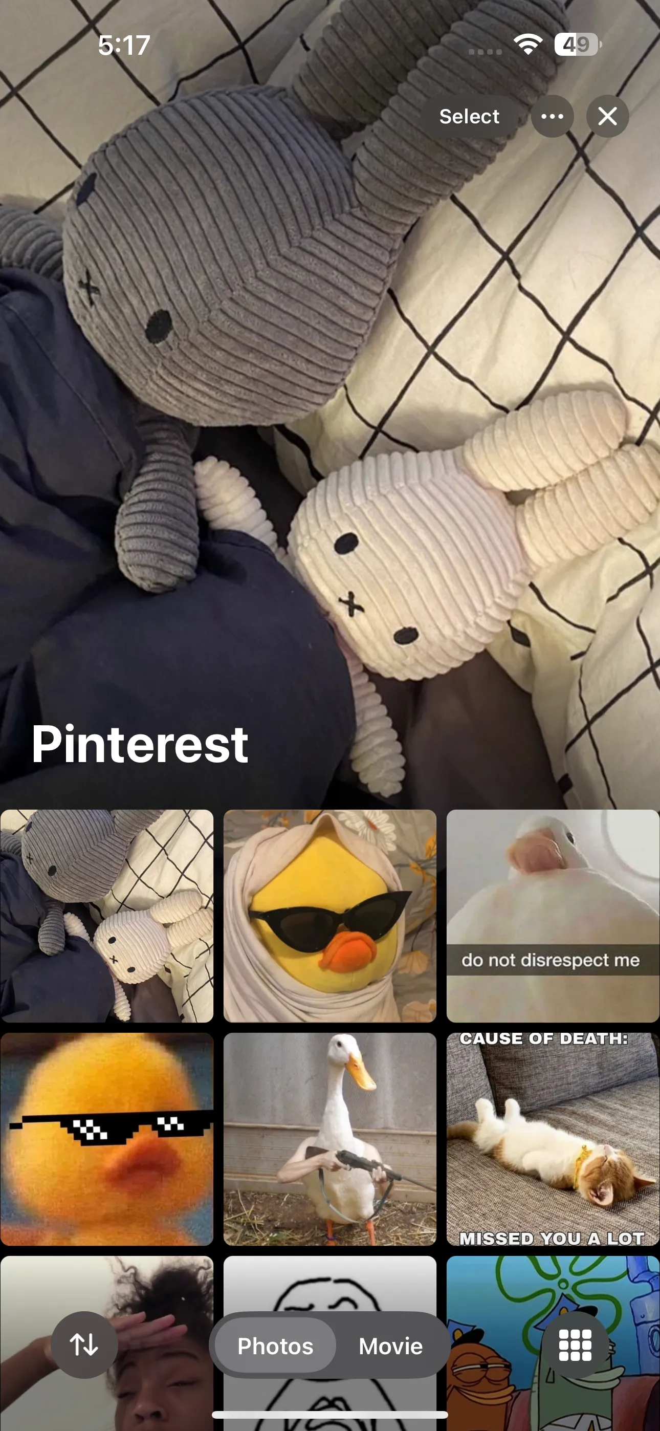 Album có tiêu đề &quot;Pinterest&quot; trong ứng dụng Ảnh iOS, hiển thị biểu tượng bộ lọc