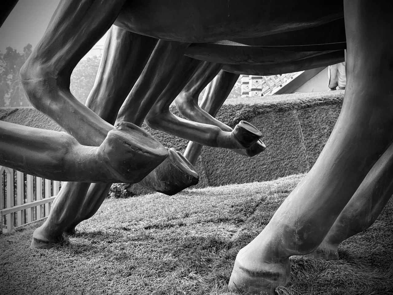 Ảnh chụp phong cách đen trắng tương phản cao (Stark B&amp;W) với iPhone 16