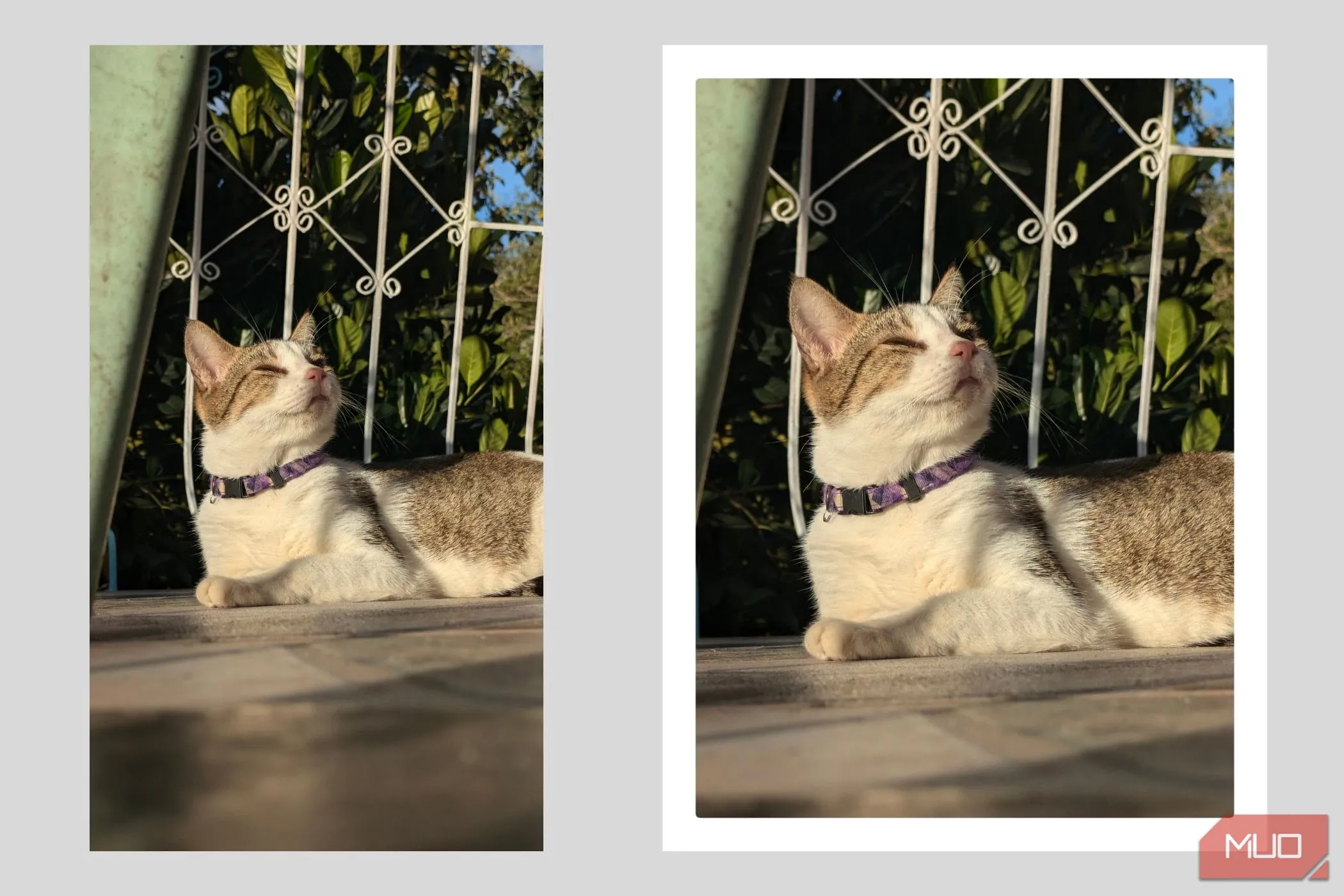 Ảnh đã cắt theo tỷ lệ 4:3 và thêm viền trắng, mô phỏng ảnh Polaroid cổ điển.