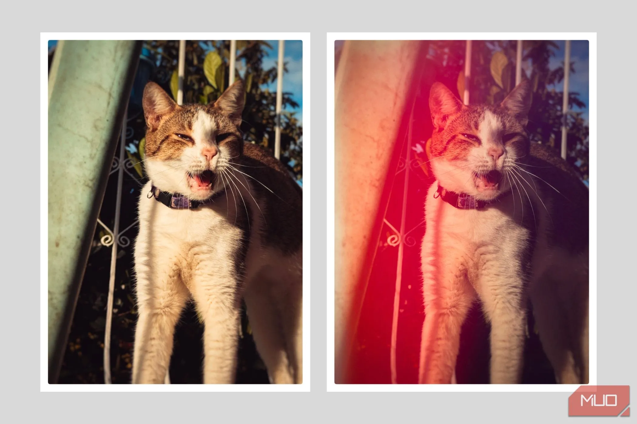 Ảnh smartphone với hiệu ứng rò rỉ sáng (light leak) màu đỏ và vignette ở các góc.