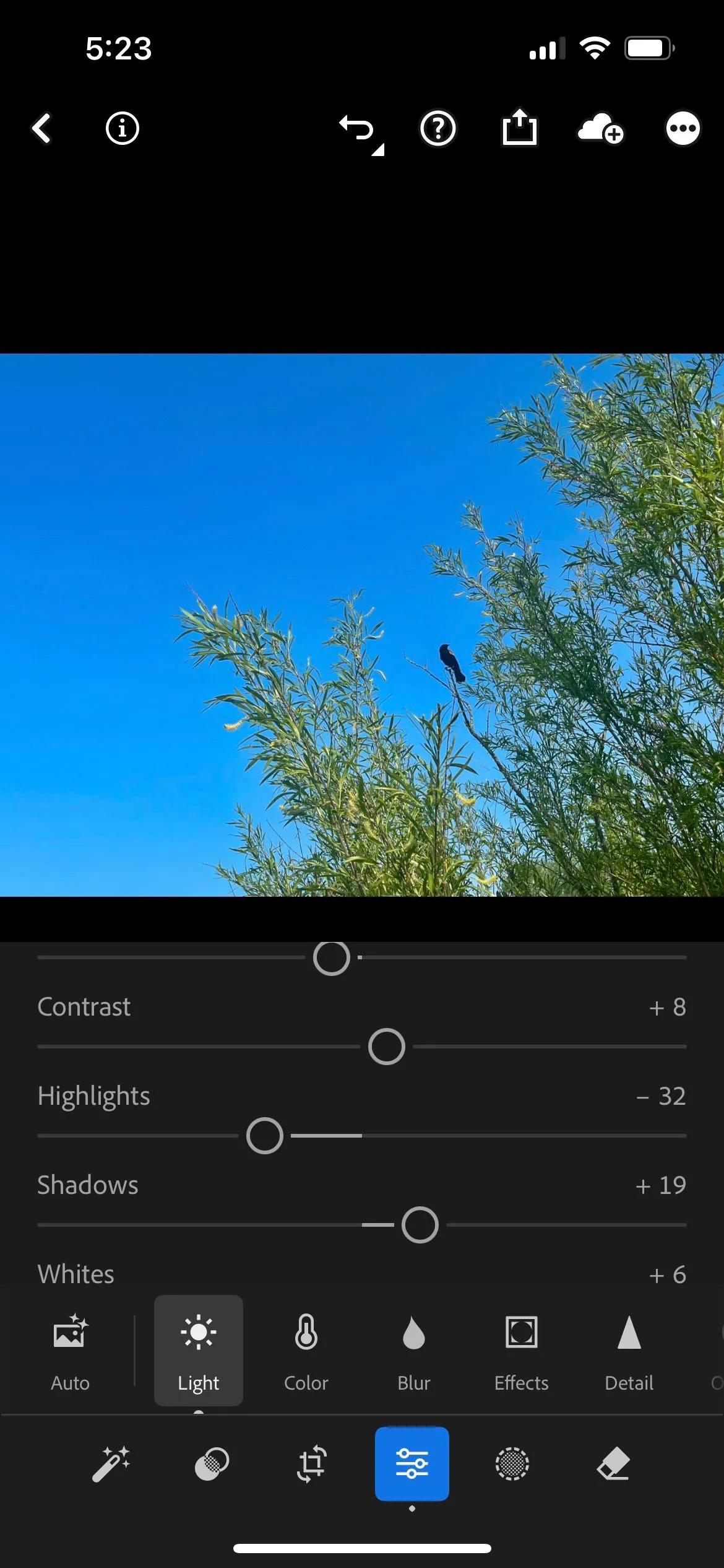 Bảng điều khiển chỉnh sửa phơi sáng cơ bản trong Adobe Lightroom Mobile, cho phép tinh chỉnh độ sáng, độ tương phản của ảnh chụp động vật hoang dã.