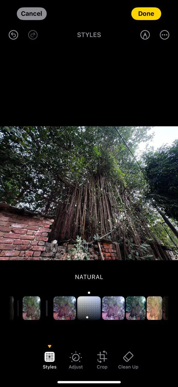 Các kiểu Photographic Styles trên iPhone 16 cho phong cảnh