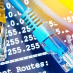 Cận cảnh nhiều cáp Ethernet được cắm, minh họa kết nối mạng có dây ổn định và nhanh chóng