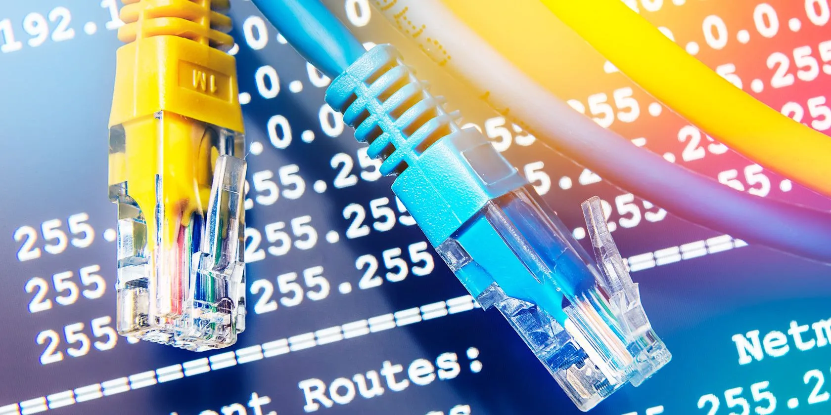 Cận cảnh nhiều cáp Ethernet được cắm, minh họa kết nối mạng có dây ổn định và nhanh chóng
