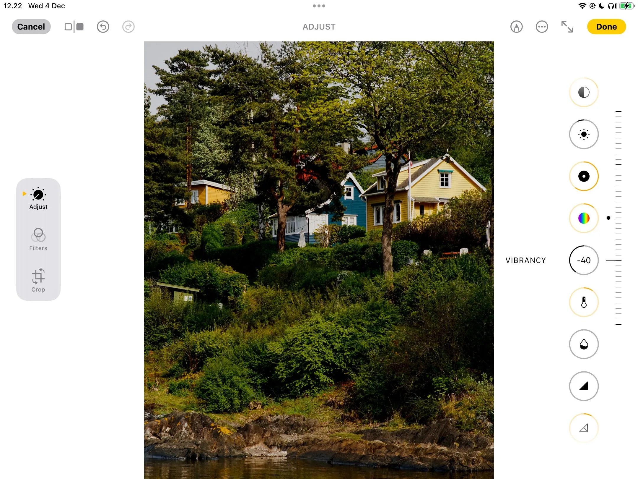 Chỉnh sửa độ rung màu (vibrancy) của hình ảnh trong ứng dụng Apple Photos trên iPad