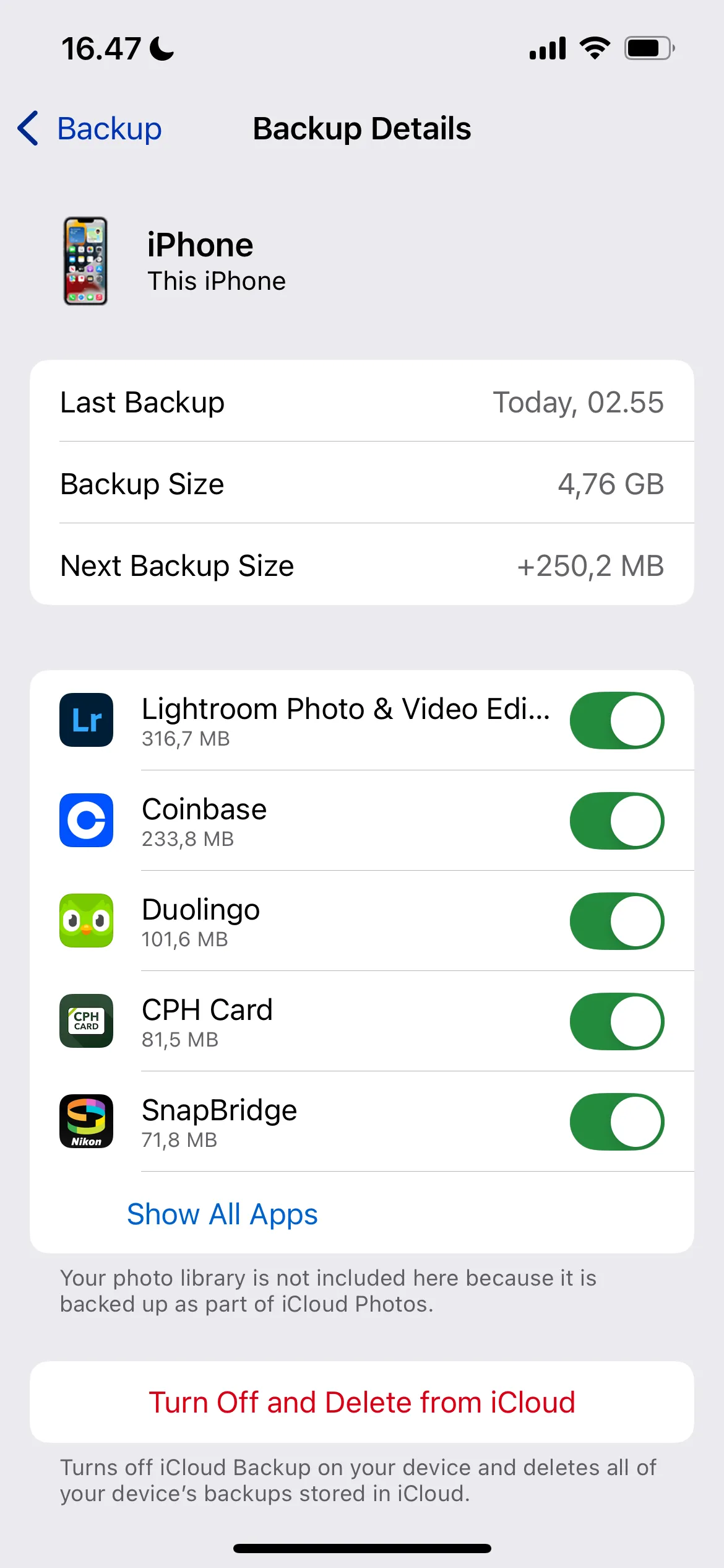 Chọn chi tiết sao lưu iCloud khác nhau trong ứng dụng