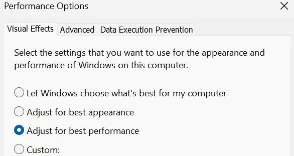 Cửa sổ tùy chỉnh cài đặt hiệu ứng hình ảnh trong Performance Options của Windows để tối ưu hiệu suất.