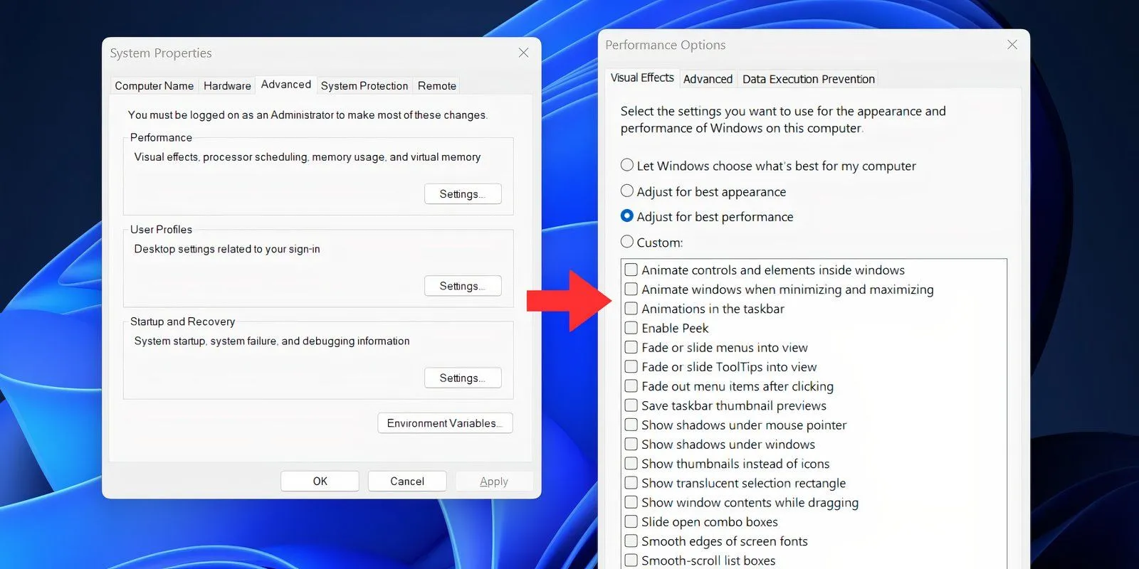 Cửa sổ Tùy chọn Hiệu suất (Performance Options) trong Windows 11 hiển thị cài đặt tối ưu hiệu suất hình ảnh