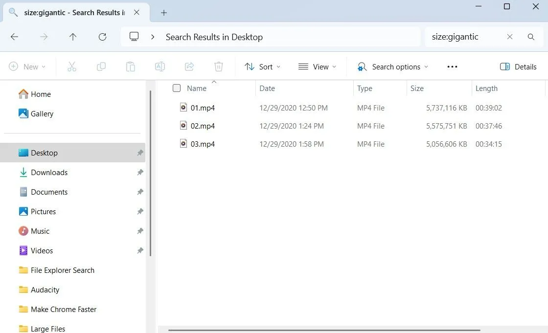 File Explorer hiển thị kết quả tìm kiếm các tệp có kích thước lớn trên Windows sau khi sử dụng bộ lọc