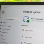 Giao diện Cài đặt (Settings) hiển thị tùy chọn Windows Update trên Windows 11, minh họa tầm quan trọng của việc cập nhật hệ điều hành thường xuyên để tối ưu hiệu suất và bảo mật laptop.
