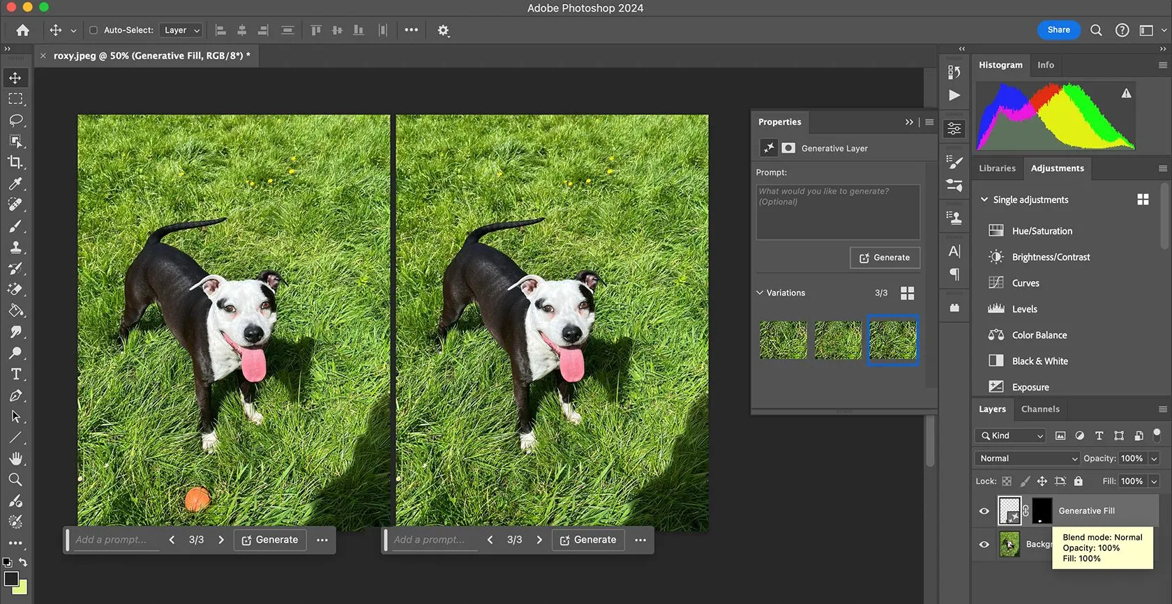 Giao diện công cụ Generative Fill sử dụng AI trong Adobe Photoshop