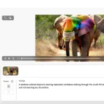 Giao diện công cụ Tạo Video (Beta) của Adobe Firefly trên nền tảng web, hiển thị các tùy chọn tạo video từ văn bản