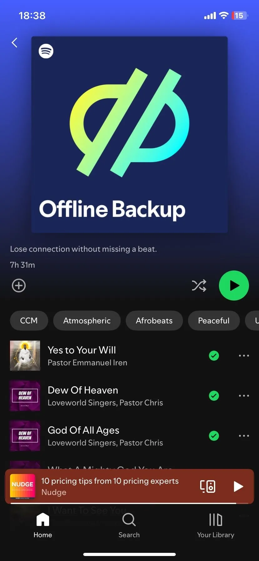Giao diện hiển thị các bài hát đã tải về để nghe offline trên Spotify, tính năng quan trọng cho những chuyến đi dài hoặc khi không có kết nối mạng.