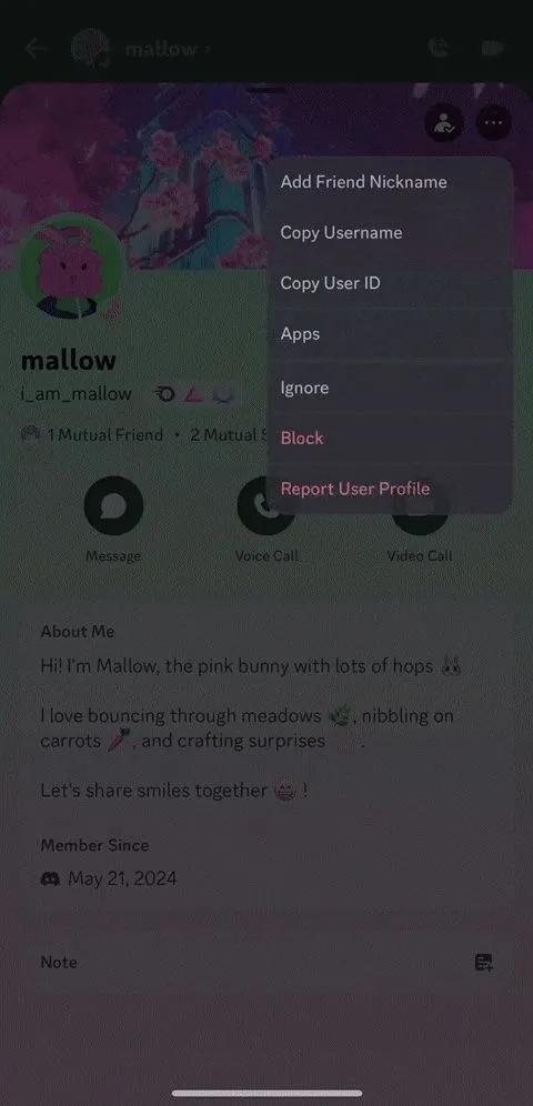 Giao diện hồ sơ người dùng trên Discord với tùy chọn Ignore