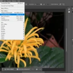 Giao diện Photoshop với lựa chọn Camera Raw Filter từ menu Filter