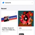 Giao diện playlist My Shazam Tracks trong ứng dụng Shazam trên iPhone