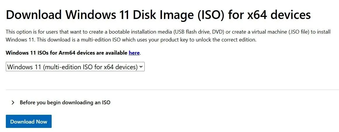 Giao diện tải xuống Windows 11 ISO từ trang Microsoft
