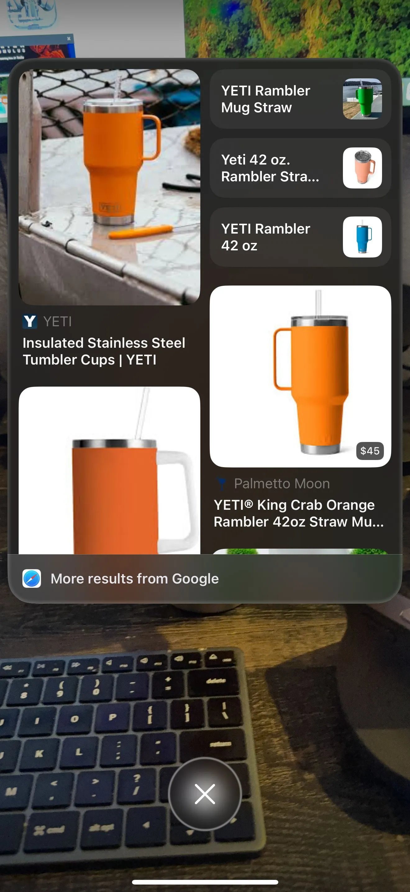Giao diện tìm kiếm bằng Visual Intelligence trên iPhone