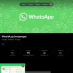 Giao diện ứng dụng WhatsApp trên App Store cho iPad