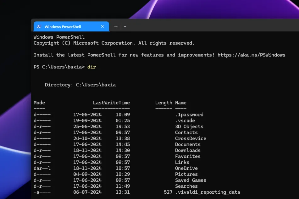 Giao diện Windows PowerShell trên Windows 11