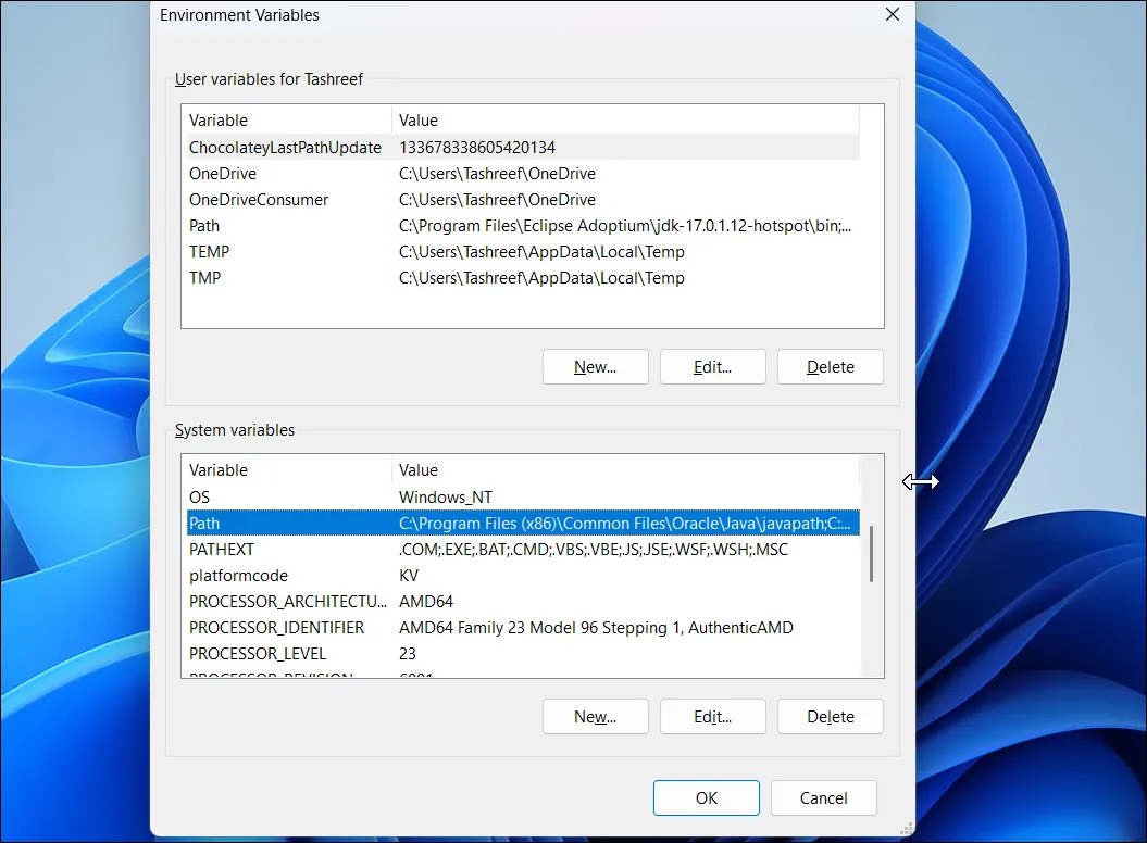 Hộp thoại Environment Variables với biến 'Path' được chọn để thêm đường dẫn thư mục SDelete trên Windows 11