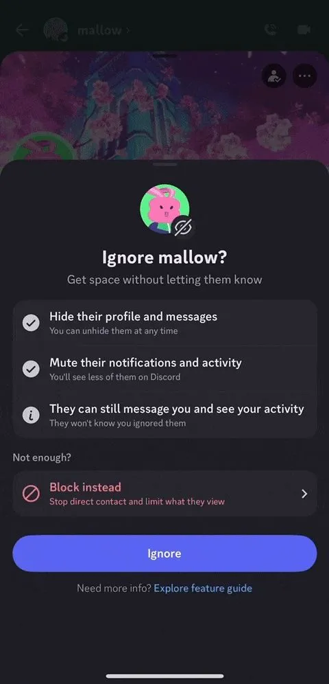 Hộp thoại xác nhận của Discord khi người dùng chọn tính năng Ignore