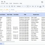 Kết quả hàm VLOOKUP tìm kiếm tên "Saniya" và trả về giá trị từ cột thứ 9 trong Google Sheets
