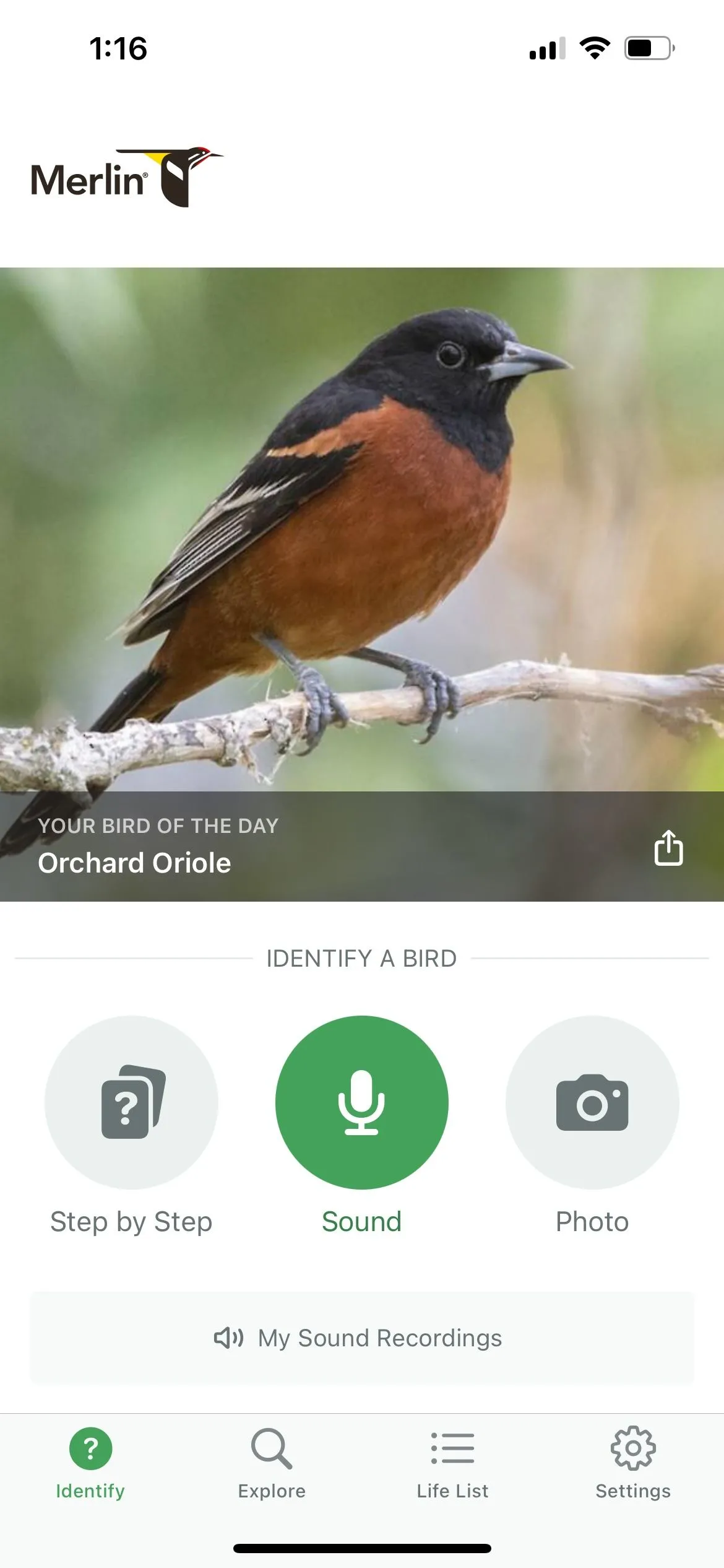 Màn hình chính ứng dụng Merlin Bird ID với tính năng Sound ID đang hoạt động.