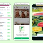 Màn hình Trạng thái (Status) của WhatsApp hiển thị quảng cáo, minh họa vị trí quảng cáo trong ứng dụng.