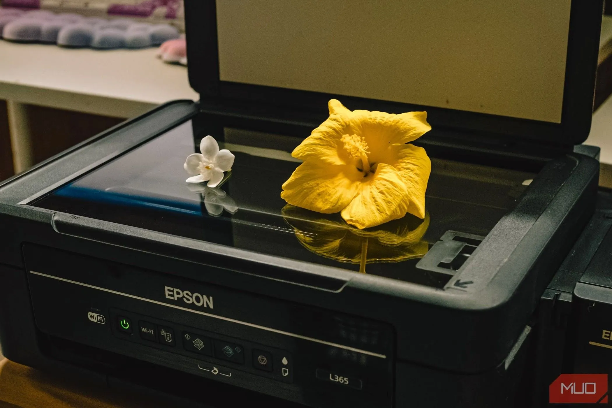 Máy quét phẳng (flatbed scanner) truyền thống với bông hoa được đặt lên, minh họa công nghệ quét tài liệu đã từng phổ biến trước khi smartphone ra đời với ứng dụng quét tiện lợi.
