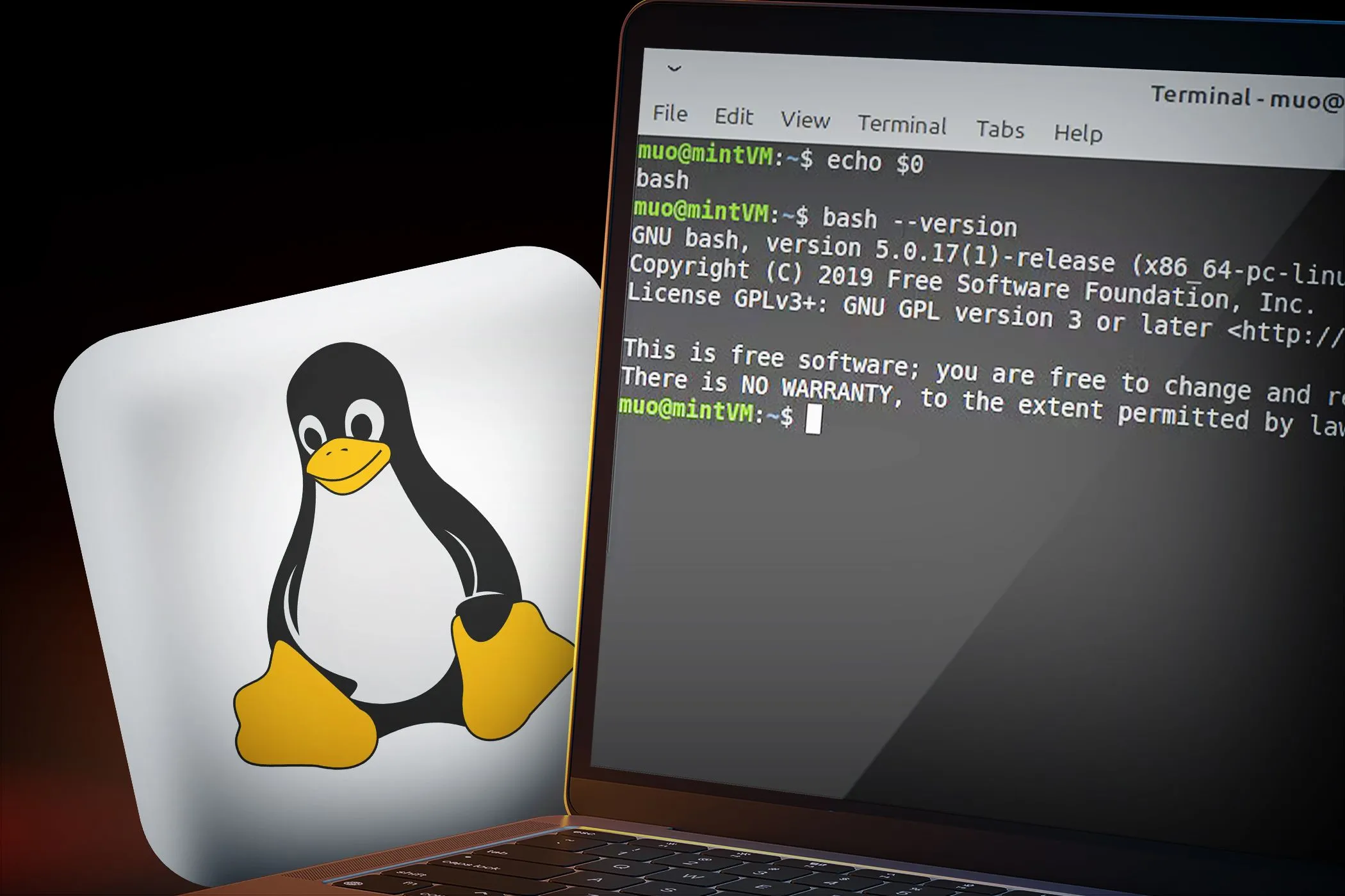Máy tính xách tay hiển thị dòng lệnh và logo Linux tượng trưng cho bảo mật mã nguồn mở