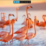 Menu tính năng ghi màn hình của Snipping Tool trên Windows 11 cho phép tùy chọn vùng quay và nguồn âm thanh.