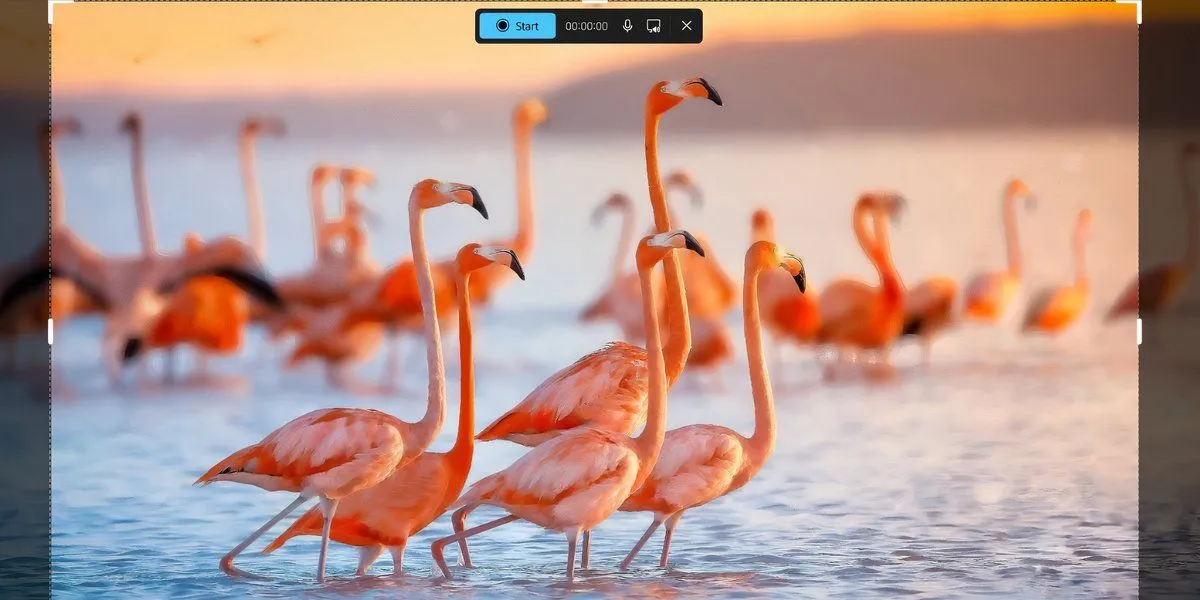 Menu tính năng ghi màn hình của Snipping Tool trên Windows 11 cho phép tùy chọn vùng quay và nguồn âm thanh.