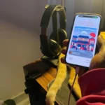 Người dùng đang thao tác trên iPhone khi thiết bị đang được sạc, đặt cạnh củ sạc và cáp sạc