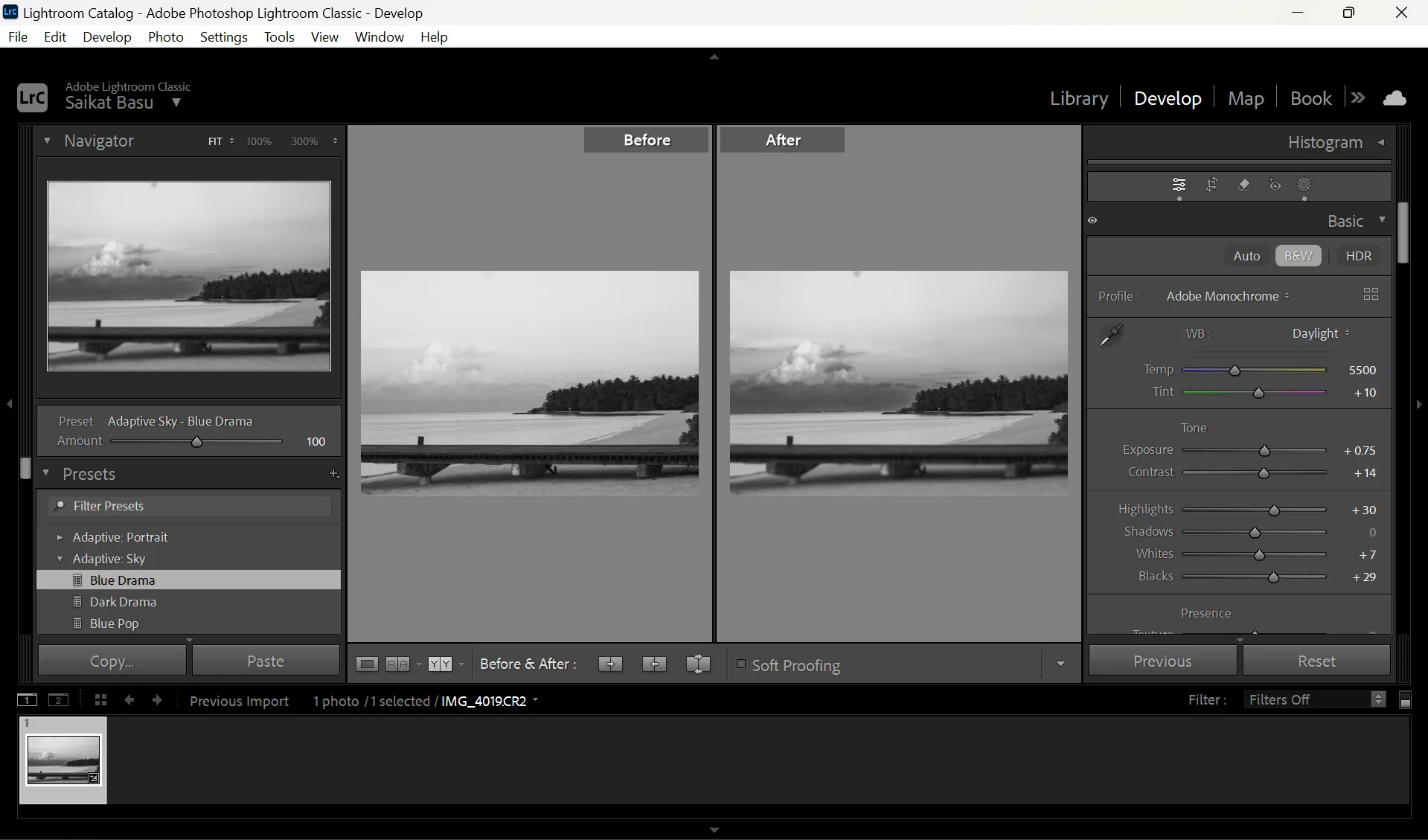 So sánh ảnh trước và sau khi áp dụng bộ lọc trong Lightroom