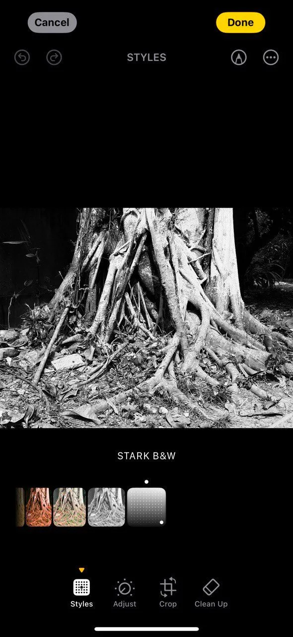 So sánh hiệu ứng đen trắng của Photographic Styles trên iPhone 16