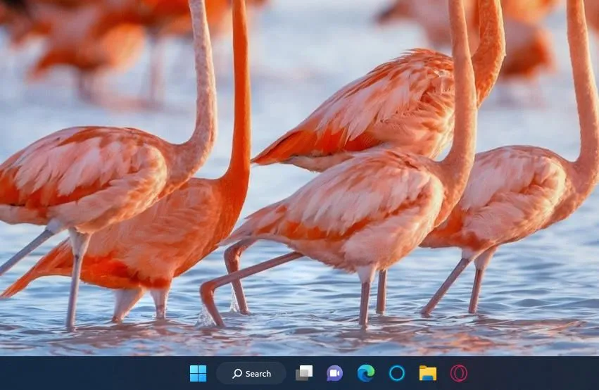Thanh tác vụ của Windows 11, hiển thị các ứng dụng được ghim và biểu tượng hệ thống, minh họa khả năng tùy chỉnh và tổ chức ứng dụng hiệu quả.