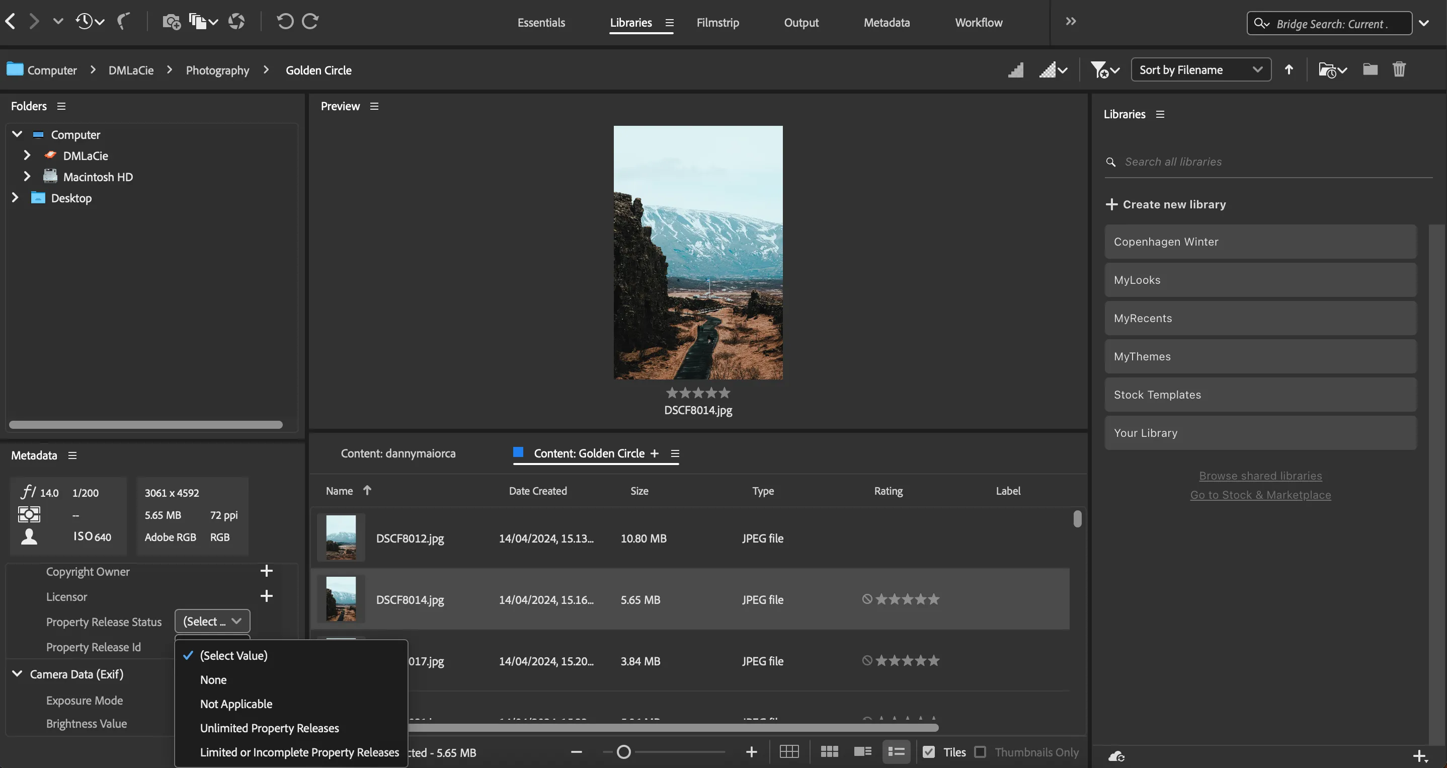 Thêm thông tin ID tài sản hoặc bản quyền trong Adobe Bridge