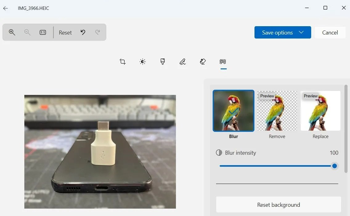 Tính năng xóa nền ảnh trong ứng dụng Photos Windows 11