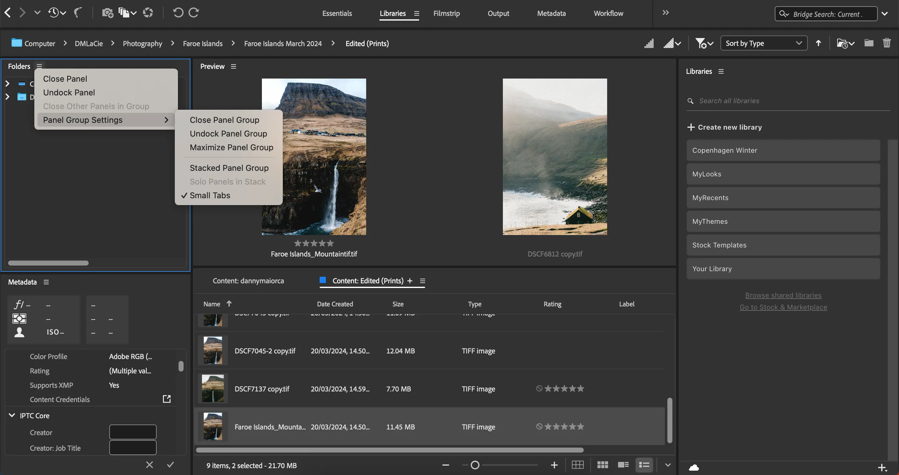 Tùy chỉnh các bảng điều khiển (panels) trong Adobe Bridge, cho phép người dùng sắp xếp không gian làm việc để quản lý ảnh và metadata hiệu quả