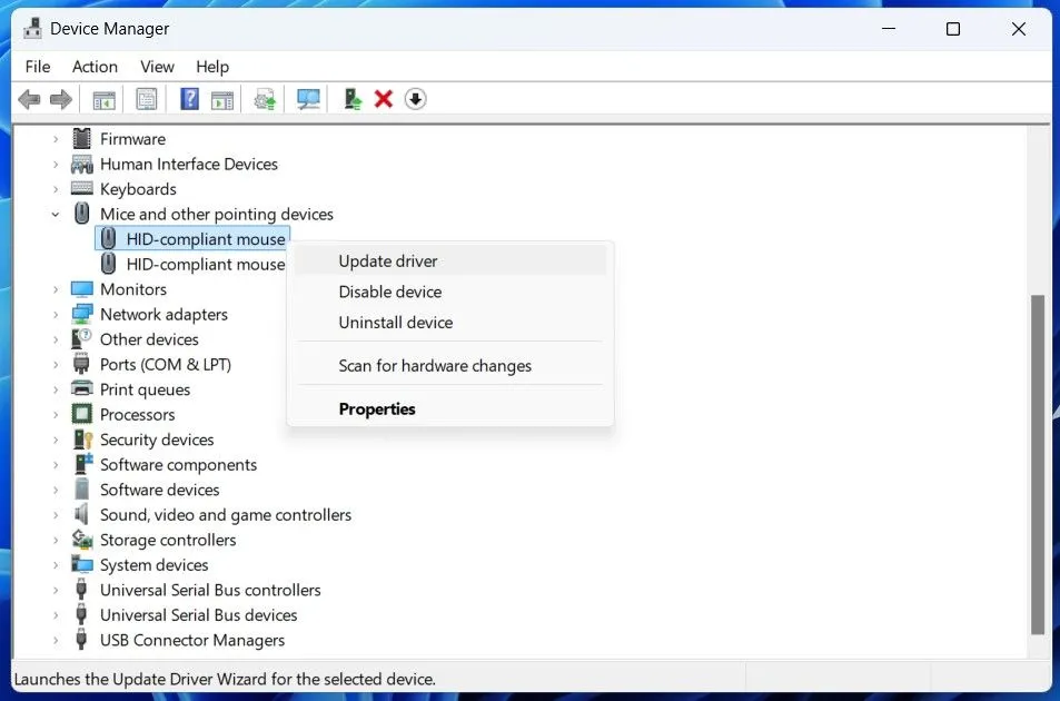 tùy chọn cập nhật driver chuột trong Device Manager của Windows