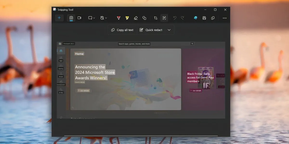 Văn bản được đánh dấu hiển thị tính năng Text Actions trong Snipping Tool, cho phép sao chép chữ từ hình ảnh.