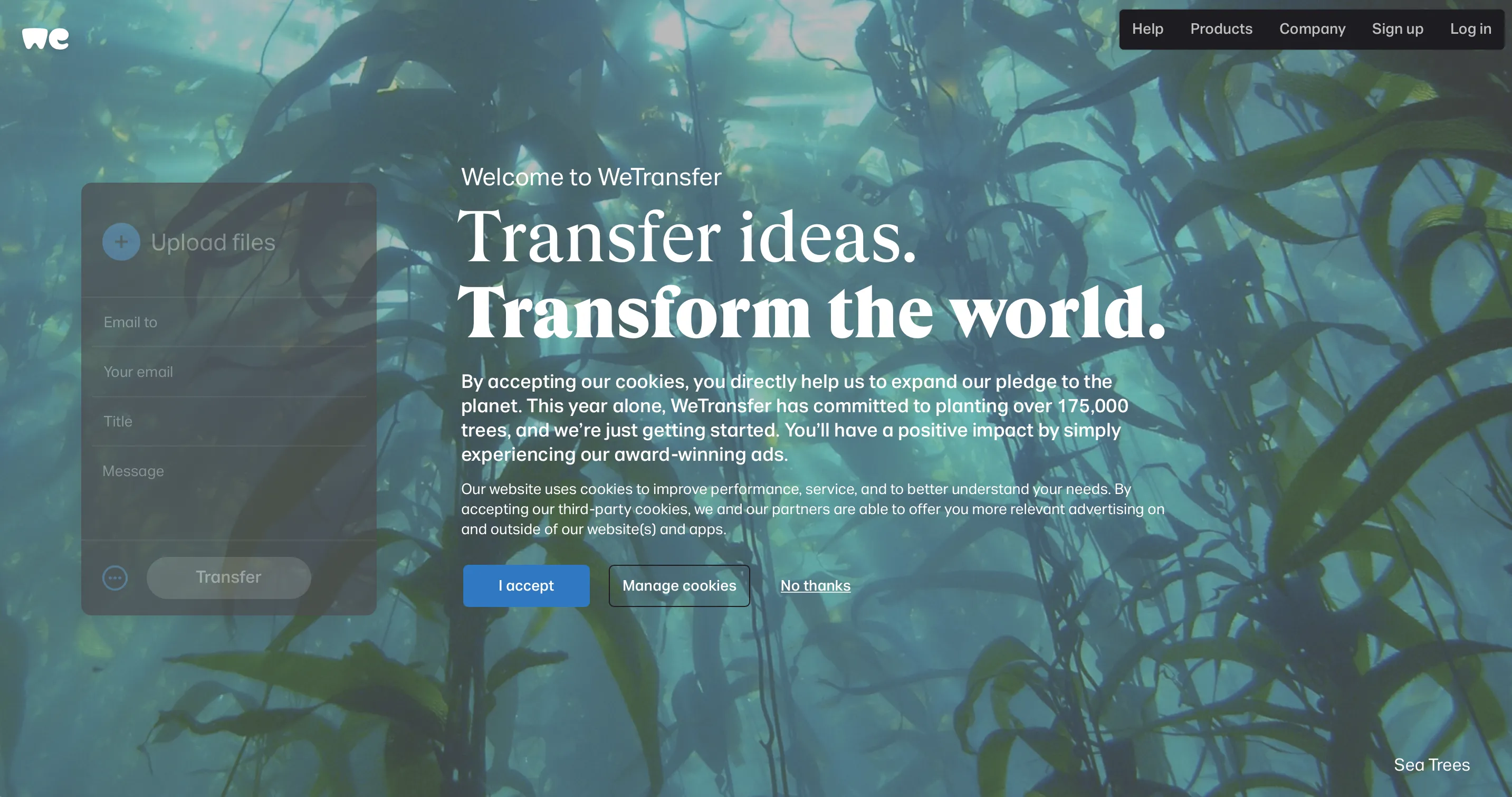 WeTransfer là công cụ gửi file dung lượng lớn phổ biến