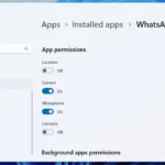 Windows 11 Settings app showing app permissions for WhatsApp